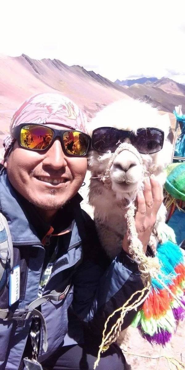 Funny Animals (46 pics)
