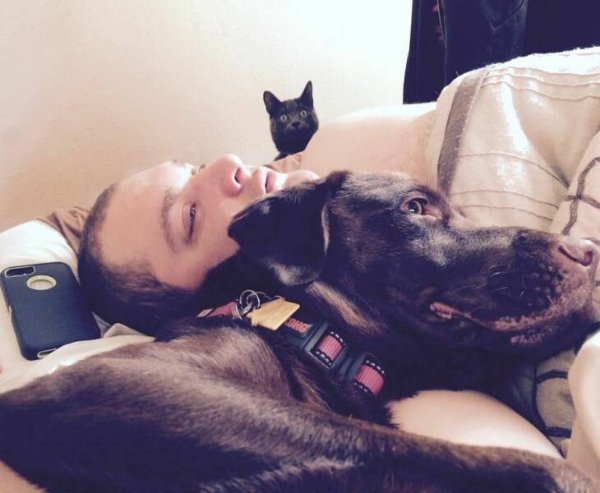 Cute Cats (28 pics)