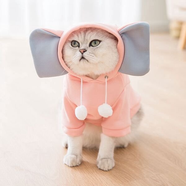 Cute Cats (28 pics)