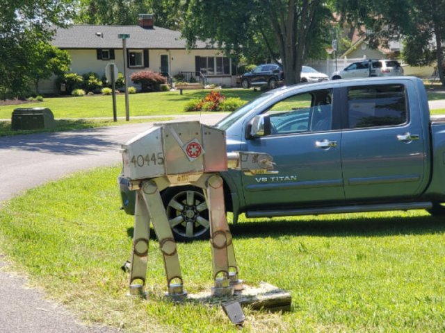 Unusual Finds And Situations (36 pics)