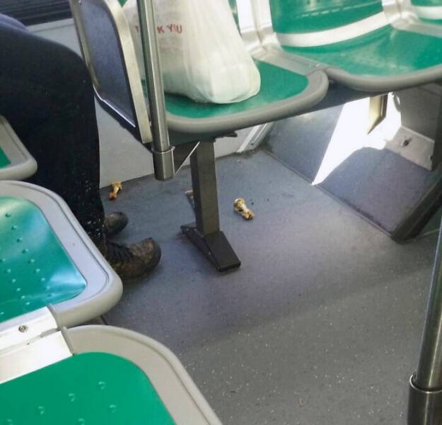 Annoying Passengers (39 pics)