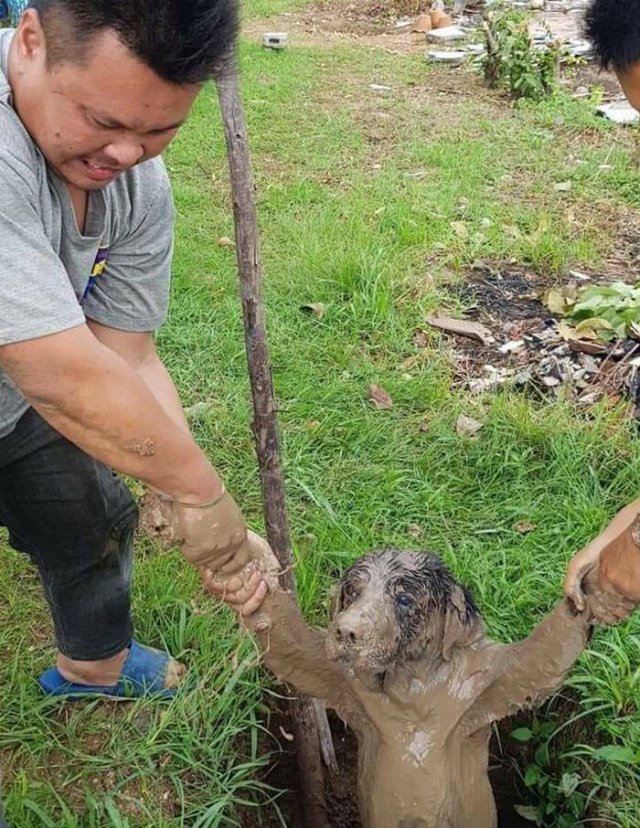 Funny Animals (48 pics)
