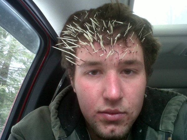 Bad Days Happen (20 pics)