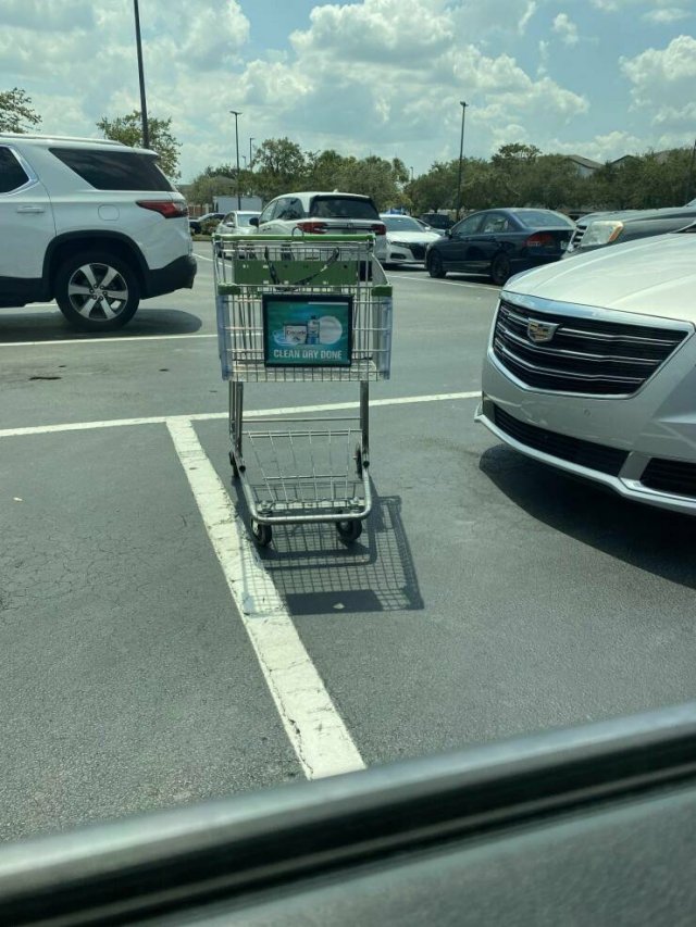 Annoying Finds And Situations (21 pics)