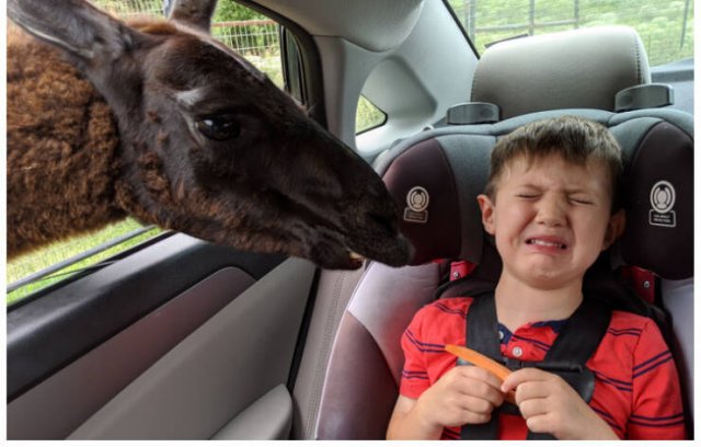 Funny Stories Of Parents (16 pics)