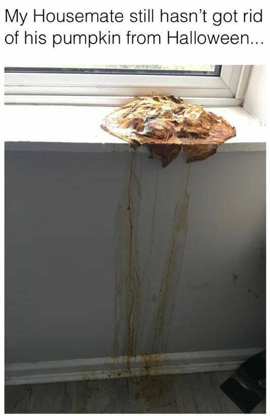 Annoying Finds And Situations (21 pics)