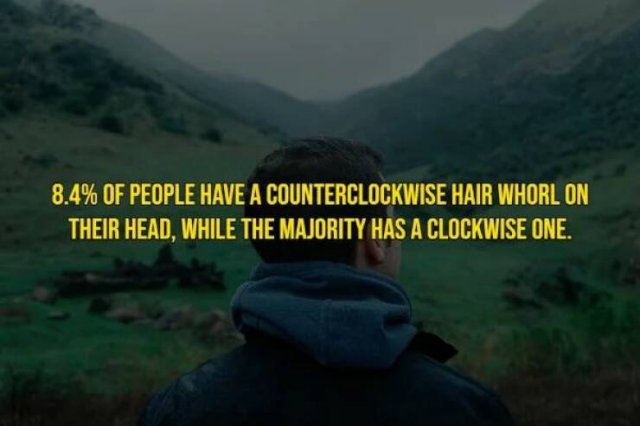 Interesting Facts About People (15 pics)