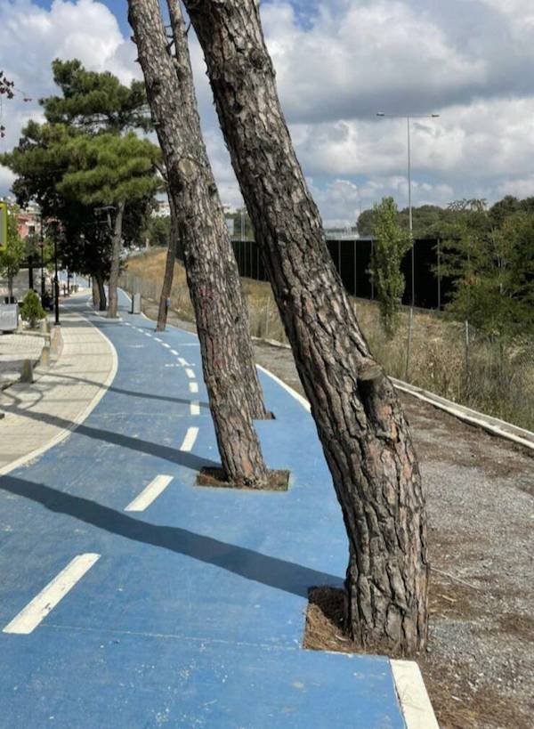 Funny Fails (32 pics)
