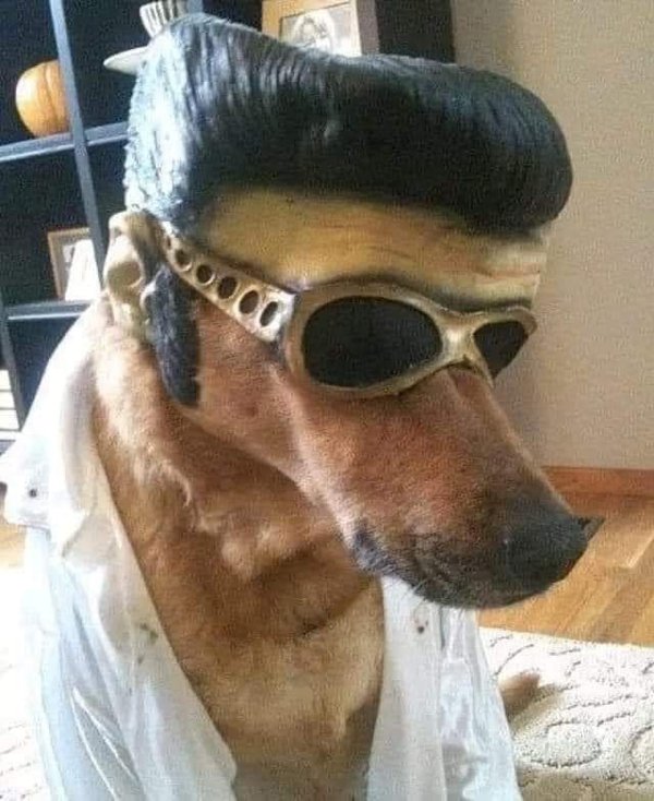 Unusual Finds And Situations (30 pics)
