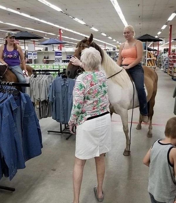 Unusual Finds And Situations (30 pics)