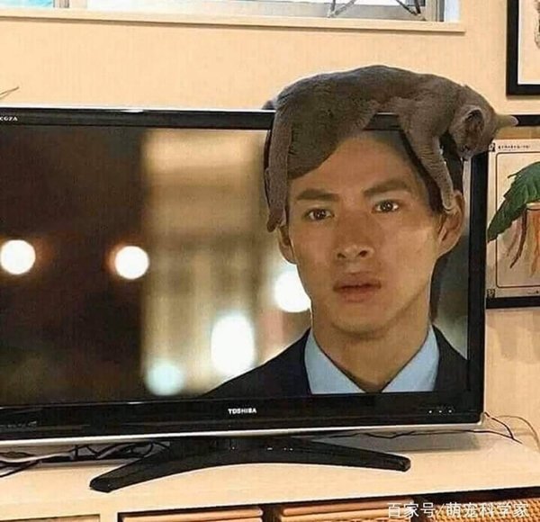 Unusual Finds And Situations (30 pics)