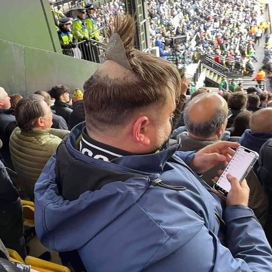 Unusual Finds And Situations (30 pics)