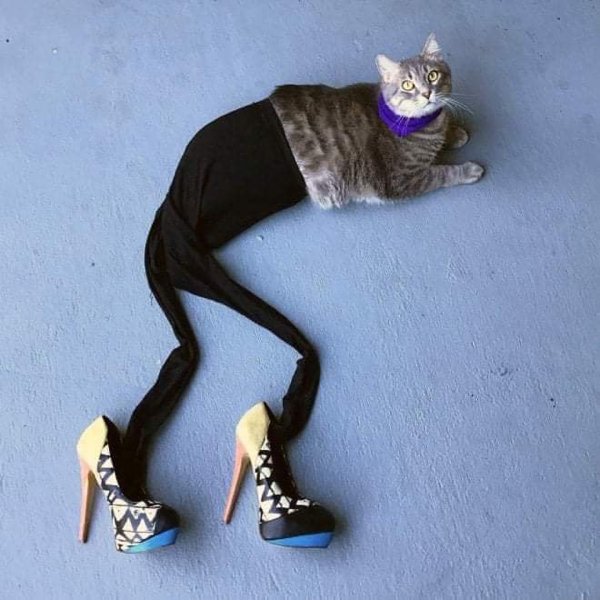 Unusual Finds And Situations (30 pics)