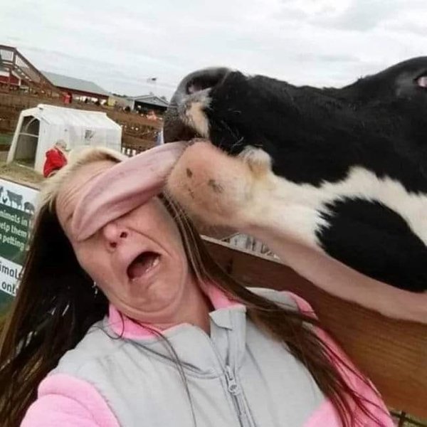 Unusual Finds And Situations (30 pics)