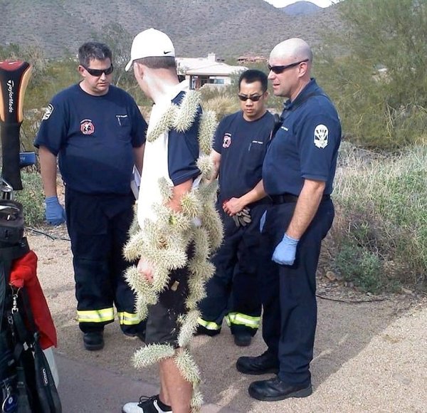 Unusual Finds And Situations (30 pics)