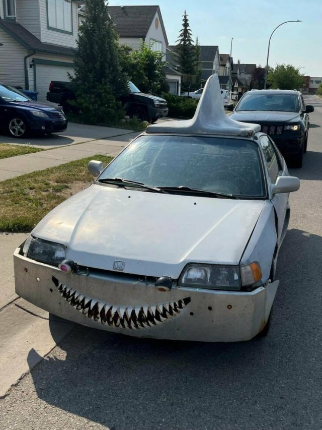 Crazy Cars (59 pics)