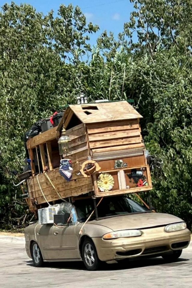 Crazy Cars (59 pics)