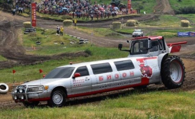 Crazy Cars (59 pics)