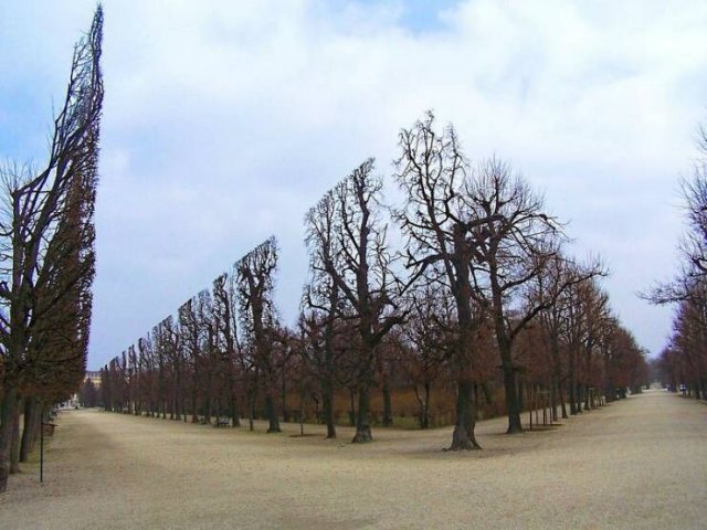 Photos For Perfectionists (36 pics)