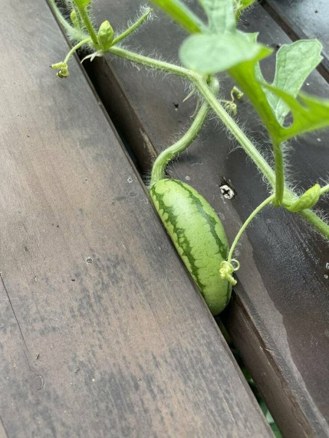 Photos For Perfectionists (36 pics)