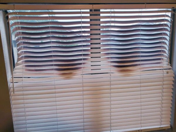 This Summer Was Hot (22 pics)