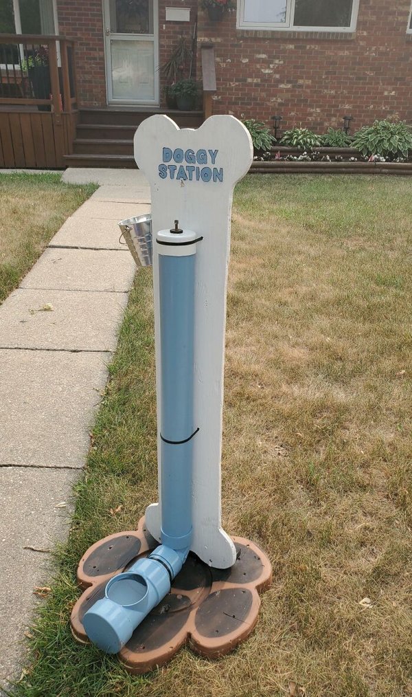 This Summer Was Hot (22 pics)