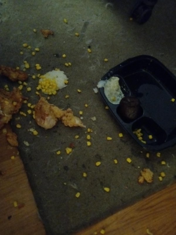 Bad Days Happen (20 pics) Bad Days Happen (20 pics)