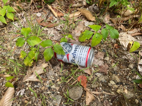 Bad Days Happen (20 pics) Bad Days Happen (20 pics)