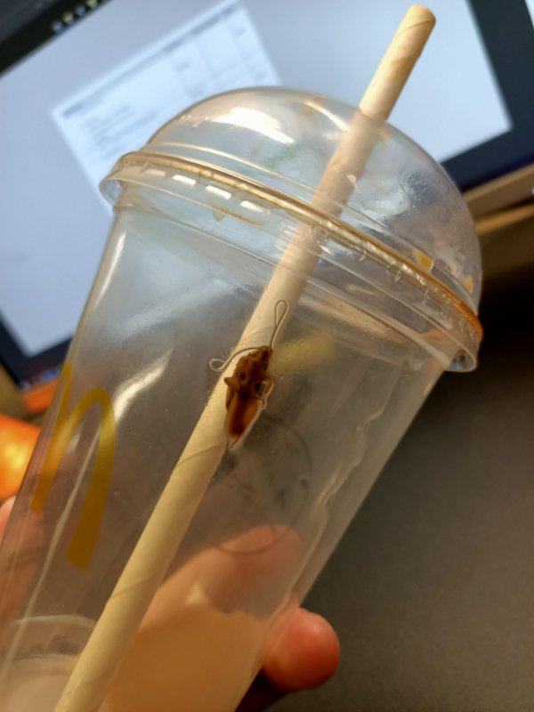 Bad Days Happen (20 pics) Bad Days Happen (20 pics)