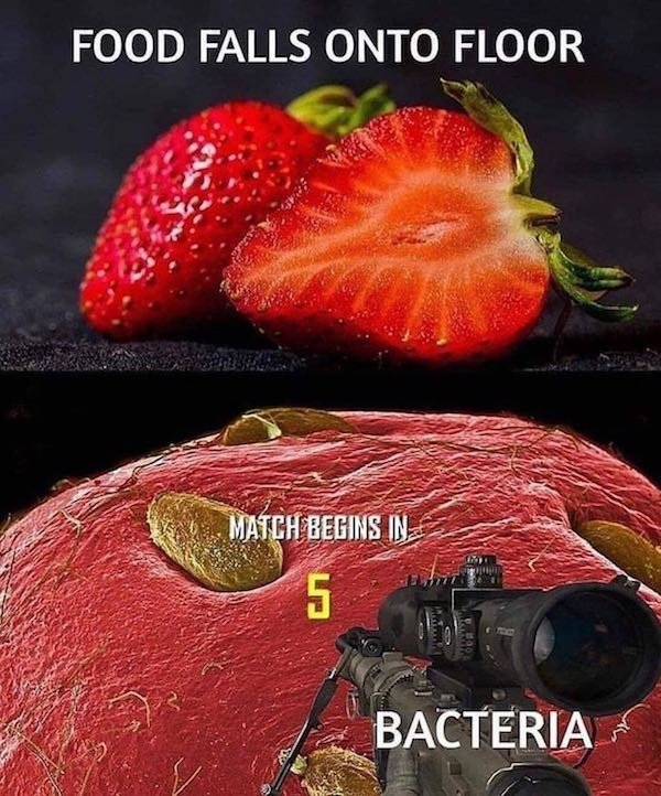 Memes About Food (31 pics)