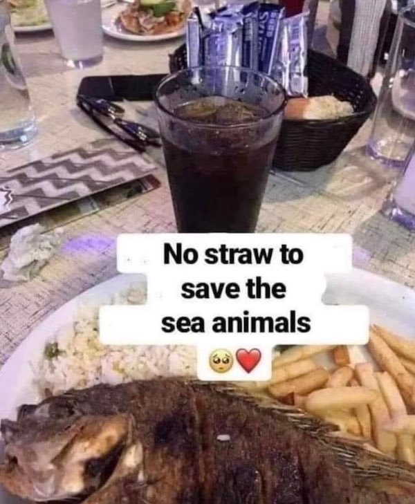 Memes About Food (31 pics)