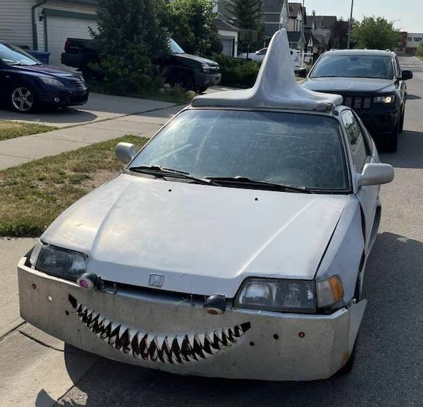 Crazy Cars (36 pics)