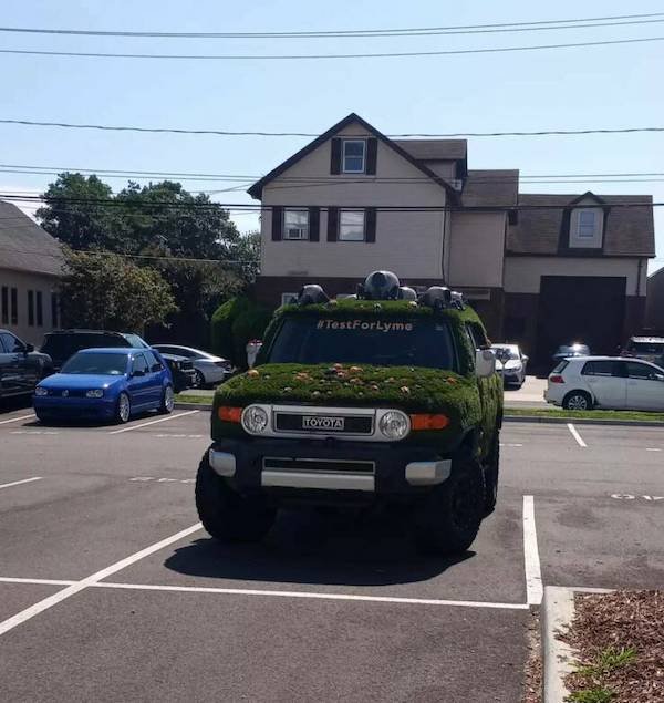 Crazy Cars (36 pics)