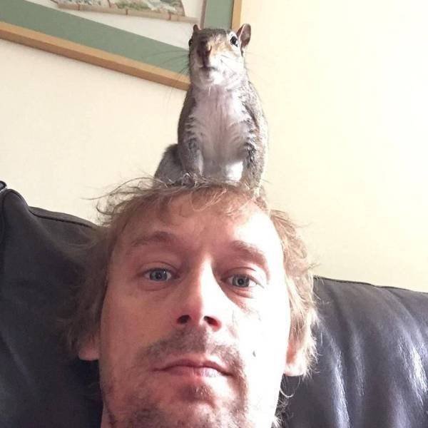 Funny Animals (34 pics)