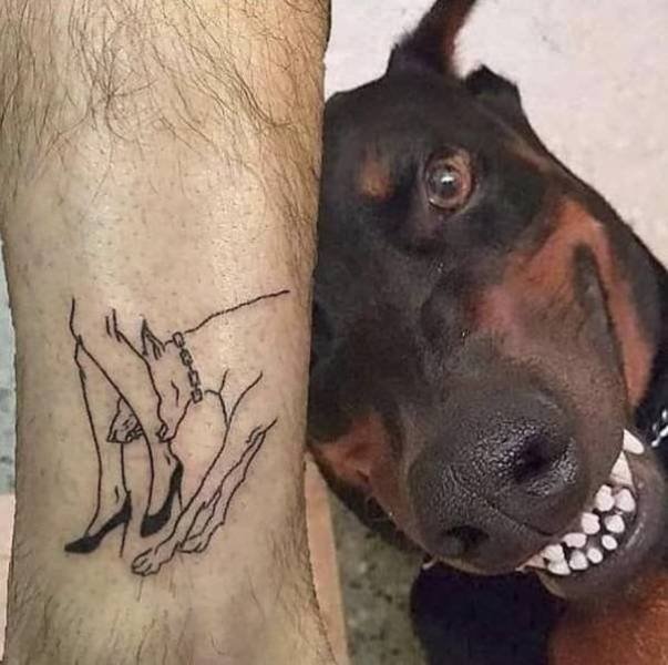 Funny Animals (34 pics)