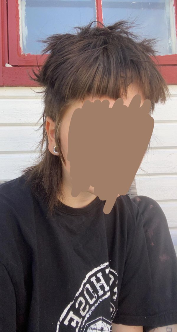 Odd Haircuts (30 pics)