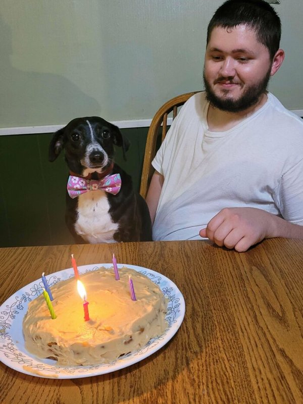 Funny Animals (30 pics)