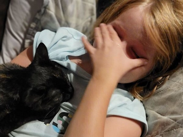 Funny Animals (30 pics)