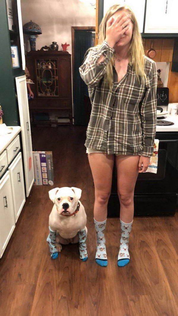 Funny Animals (33 pics)