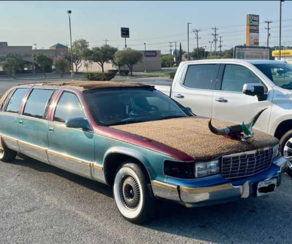 Crazy Cars (45 pics)