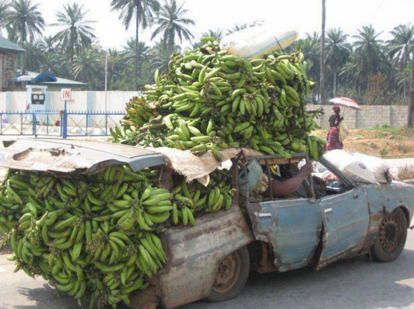 Crazy Cars (45 pics)