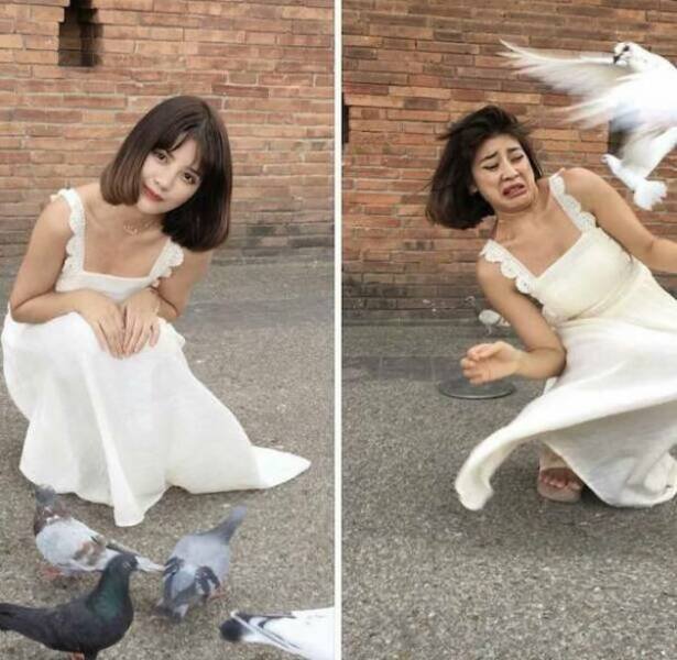 Right Moment (26 pics)