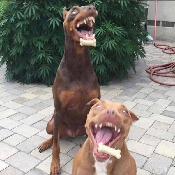 Right Moment (26 pics)
