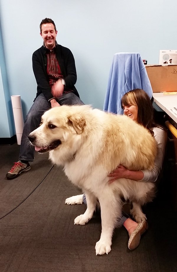 Giant Dogs (30 pics)