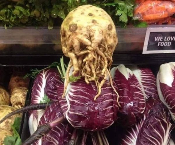 Unusual Finds (18 pics)