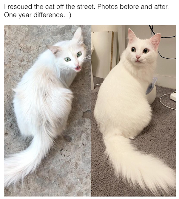 Interesting Before And After Photos (25 pics)