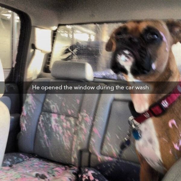 Bad Days Happen (36 pics)