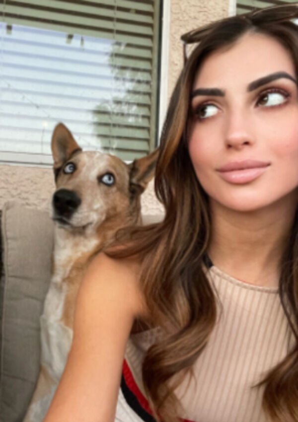 Cute Dogs (28 pics)