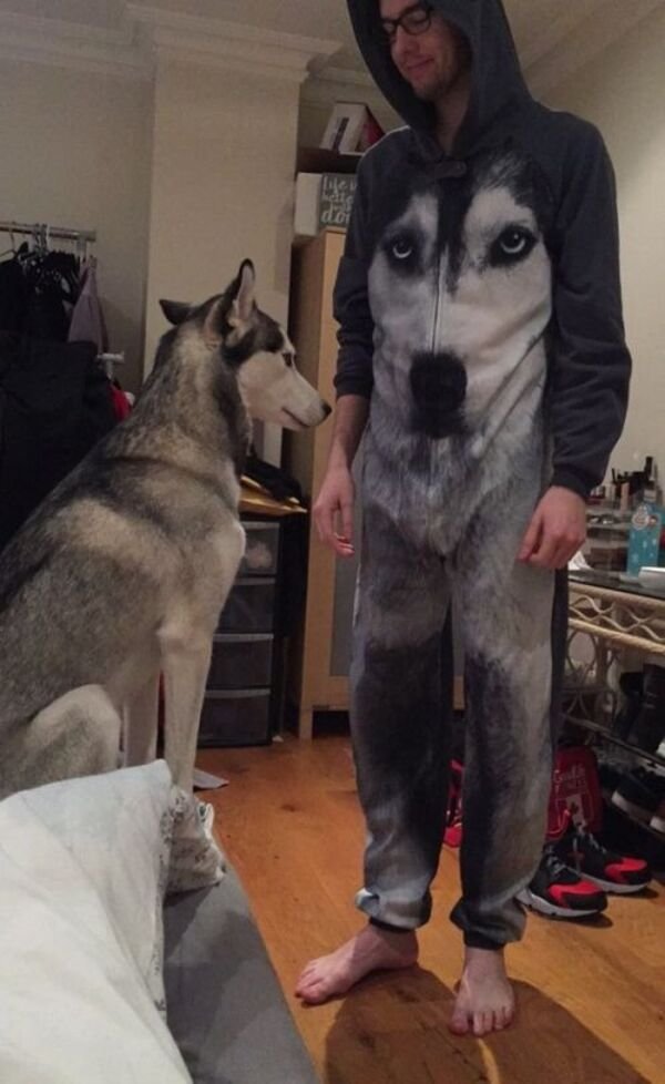 Cute Dogs (28 pics)