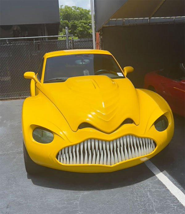 Crazy Cars (29 pics)